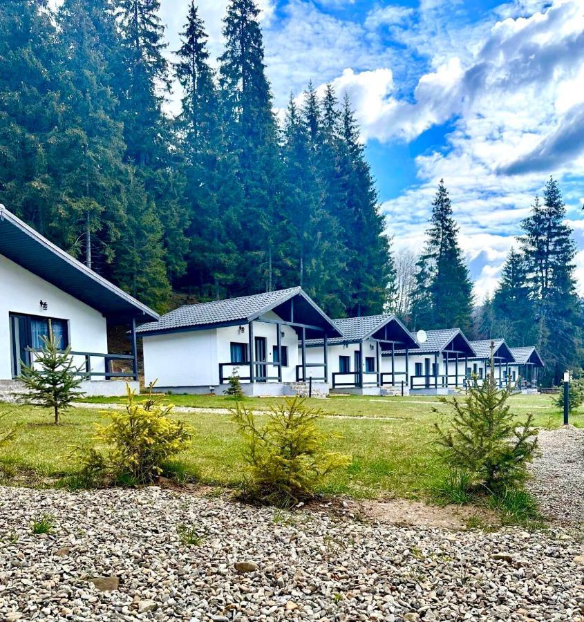 Hotel Clubul Dacilor Comandău Exterior foto